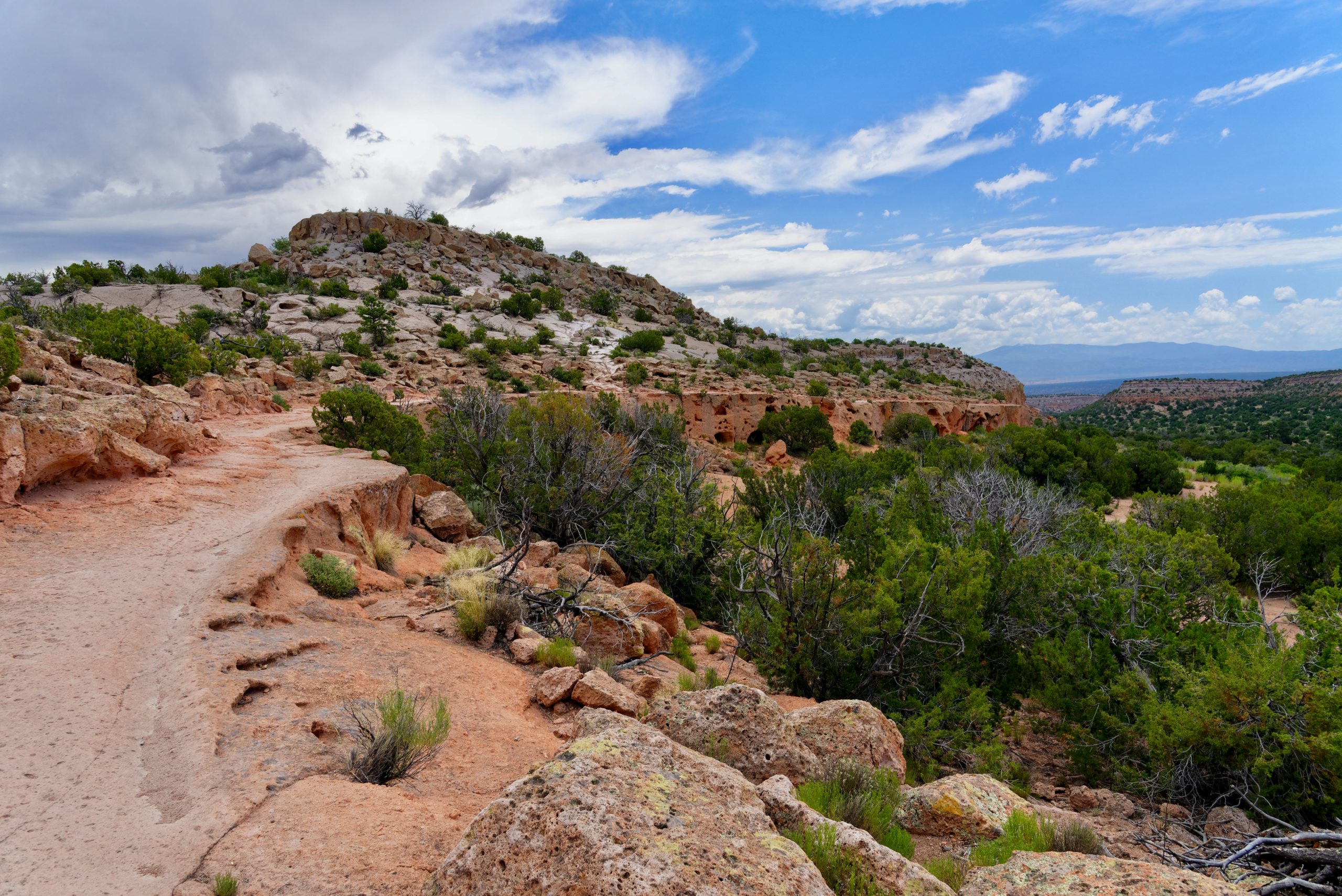 What Is Happening in the Santa Fe Office of Vrapi Weeks?
